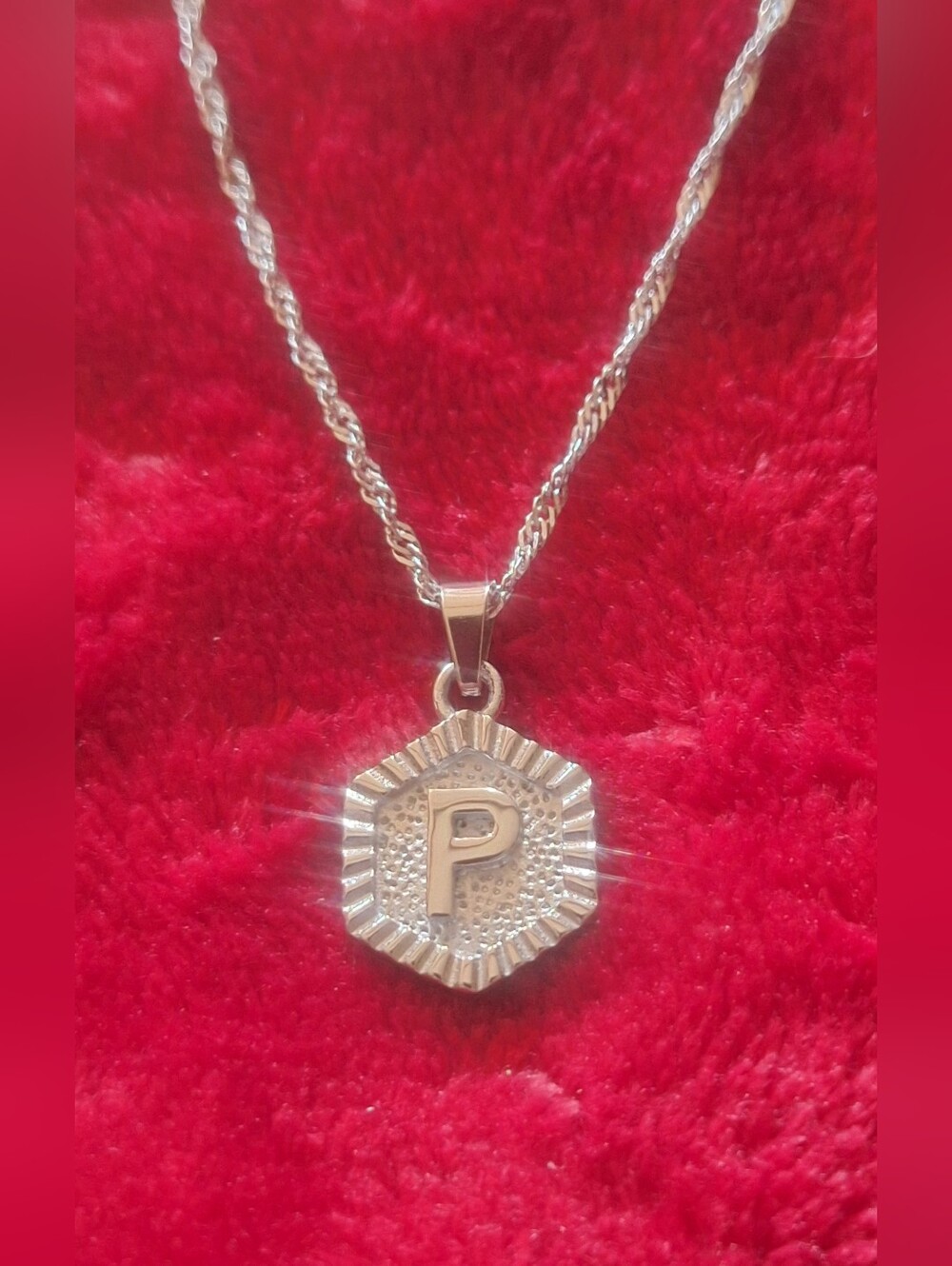 Oak & Ivy Boutique Stainless Silver Tone P Initial Adjustable Necklace NWOT